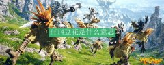 ff14豆花是什么意思