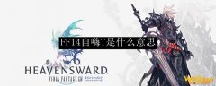 FF14自嗨T是什么意思