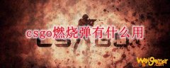 csgo燃烧弹有什么用