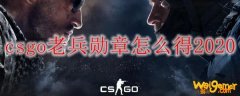 csgo老兵勋章怎么得2020