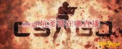 csgo坑爹哥在哪直播