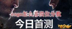 csgo怎么看段位分数