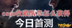 csgo收藏胸章怎么获得