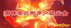 原神爆炎树多少级出金