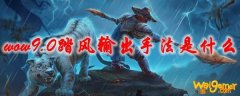 魔兽世界9.0踏风输出手法是什么