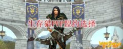 魔兽世界9.0生存猎PVP盟约选择